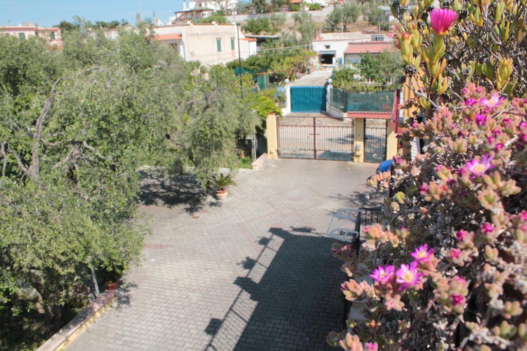 Villa Vale Mery Vieste Buitenkant foto